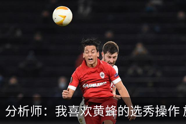 分析师：我喜欢黄蜂的选秀操作 施泰因巴赫简直是个内线巨兽