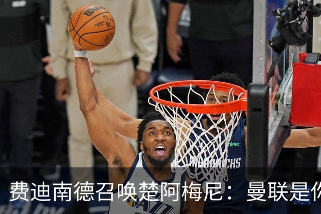 费迪南德召唤楚阿梅尼：曼联是你的唯一归宿，想成事的话就来吧！
