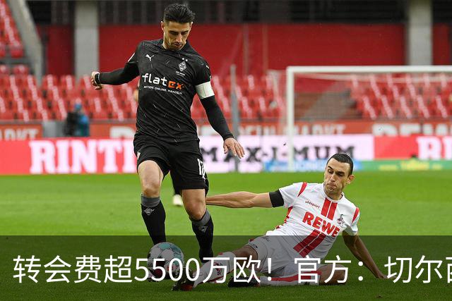 转会费超5500万欧！官方：切尔西签下21岁帕莱斯特拉，签约7年